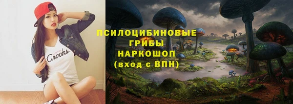 прущая мука Абаза