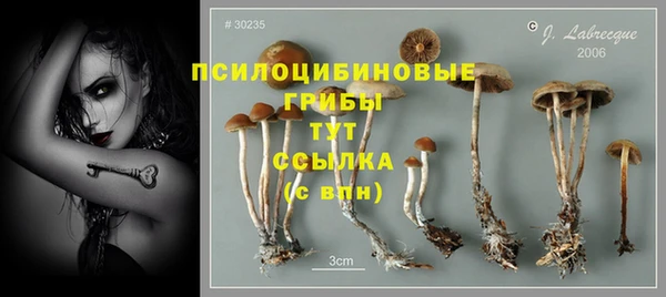 прущие крисы Абдулино